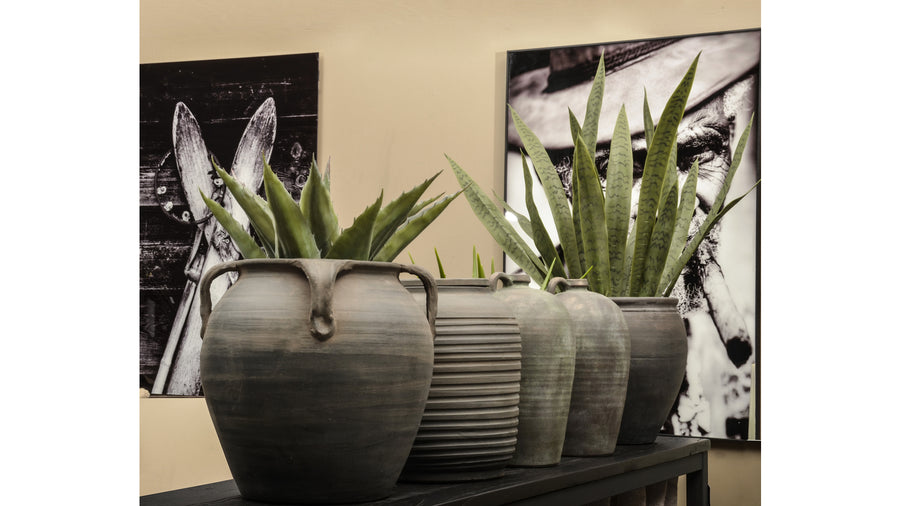 Artemis kruka med öra grå