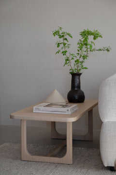 Driscoll soffbord 103x50 vitpigmenterad ek