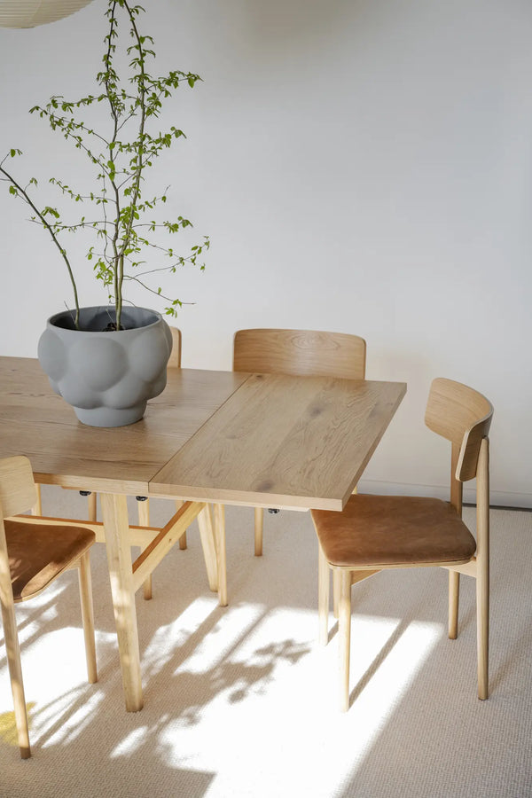 Plainfield tilläggsskiva 50 ek