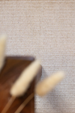 Molly ullmatta creme