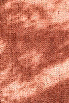 Molly ullmatta marsala