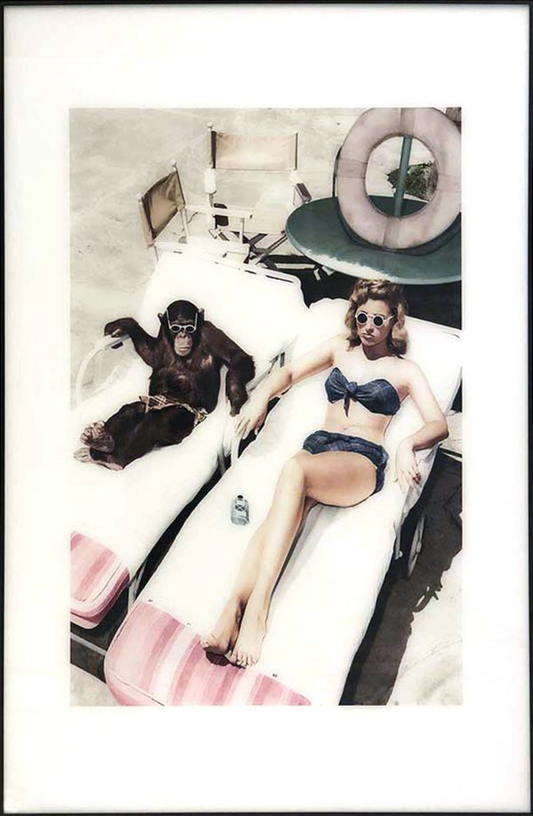 Tavla Monkey Beach med svart ram 120x80 cm