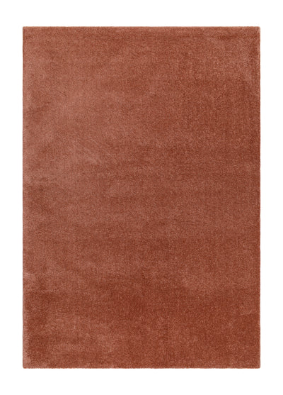 Sheraton Terracotta 240*340