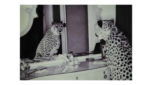 Tavla Cheeta 100x150 cm