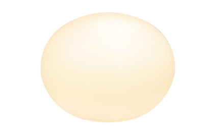 Globus bordlampa 24 cm vit