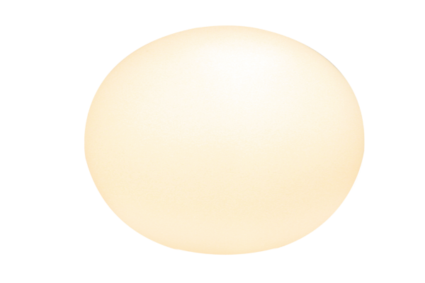 Globus bordlampa 24 cm vit