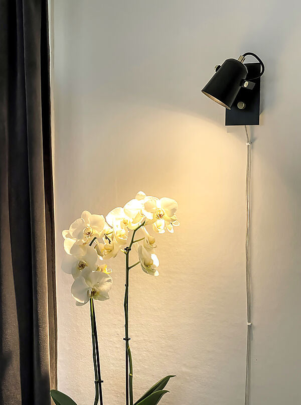 Metz vägglampa svart/matt mässing