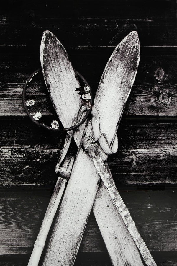 Tavla Ski svart/vit 80x120 cm